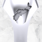 Nova Scotia International Student Program Ring